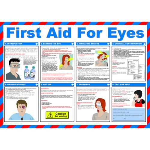 First Aid For Eyes Poster (POS13221)
